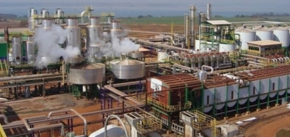 Tereos vê 10% do canavial atingido por fogo e cita seca como fator para 2025/26