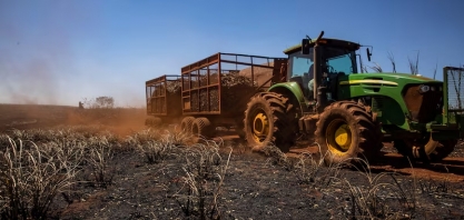 Mercado busca alternativas ao açúcar do Brasil, afetado por seca e queimadas