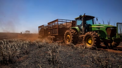 Mercado busca alternativas ao açúcar do Brasil, afetado por seca e queimadas