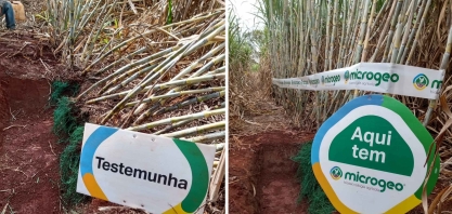 Produtor instala Bioestação e alcança incremento de produtividade agrícola de 12 ton/ha por corte