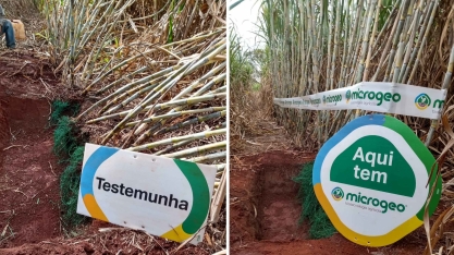 Produtor instala Bioestação e alcança incremento de produtividade agrícola de 12 ton/ha por corte