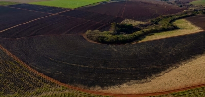 De açúcar a soja: clima extremo ameaça elevar preços globais de alimentos novamente