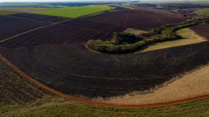 De açúcar a soja: clima extremo ameaça elevar preços globais de alimentos novamente