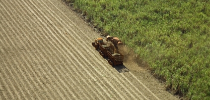 Com 34 milhões de toneladas de cana processadas, moagem cresce 2,75%
