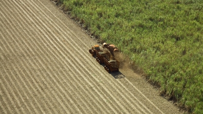 Com 34 milhões de toneladas de cana processadas, moagem cresce 2,75%