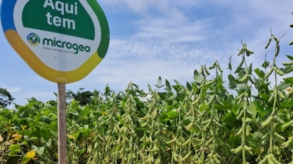 Solo compactado e falta de infiltração: O desafio climático no Cerrado brasileiro e as alternativas de manejo