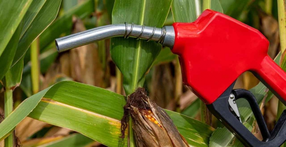 Para o diretor do comercial, o setor de etanol precisa mostrar ao consumidor as vantagens de rendimento ao abastecer com o biocombustível. (iStock.com/JJ Gouin)