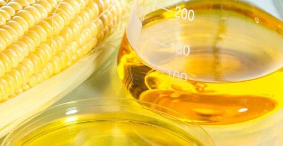 Biocombustíveis em Mato Grosso - Fotos do Canva