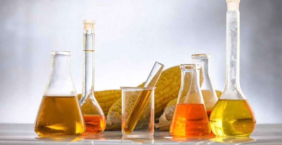                 Agricultura deve ter papel primordial por ser fonte de matéria-prima de baixa emissão de carbono