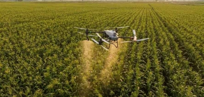Governo abre consulta para regulamentar operadores de drones agrícolas
