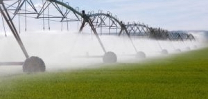 Como a Agricultura Irrigada Contribui para a Produtividade do Brasil