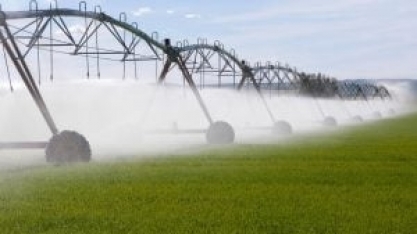 Como a Agricultura Irrigada Contribui para a Produtividade do Brasil