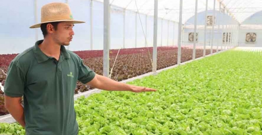 Thiago Rodrigues Silveira é engenheiro-agrônomo na Verdureira Agroindústria — Foto: Verdureira/Divulgação