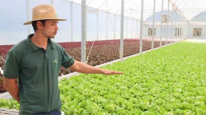 Dia do engenheiro-agrônomo: saiba o que faz esse profissional