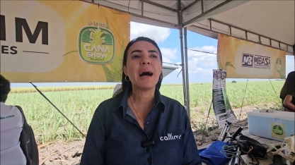 NE busca inovações na área de nutrição dos canaviais e abraça a Caltim Fertilizantes Essenciais