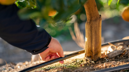 Crescimento da Irrigação no Brasil: Desafios e Perspectivas para o Futuro