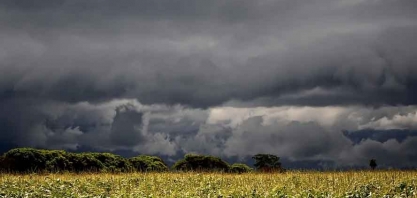 Chuva retorna às áreas secas do Brasil e deve se regularizar; veja a previsão