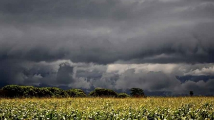 Chuva retorna às áreas secas do Brasil e deve se regularizar; veja a previsão