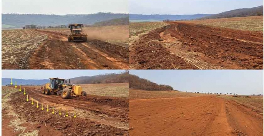 Crédito imagem: Guilherme Castioni