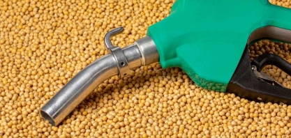 Lula sanciona lei do Combustível do Futuro, destrava R$ 260 bilhões e afirma que ‘Brasil fará maior revolução energética do planeta’