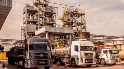 Óleos vegetais atingem maior patamar de preços desde o fim de 2022