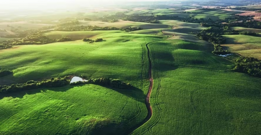 Operadores poderão utilizar os mapas que preferirem para demonstrar a geolocalização da produção — Foto: Getty Images