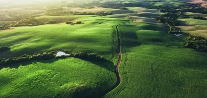 Entenda as novas diretrizes da UE para cumprir a lei antidesmatamento