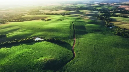 Entenda as novas diretrizes da UE para cumprir a lei antidesmatamento