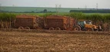 Alta do açúcar impulsiona preços mundiais dos alimentos em setembro, diz FAO