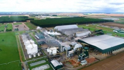 Indústria do biodiesel deve crescer e amenizar queda do PIB total da cadeia
