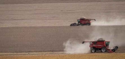 Brasil deve ter nova safra recorde em 2024/25, diz Conab