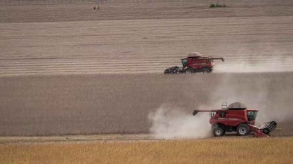 Brasil deve ter nova safra recorde em 2024/25, diz Conab