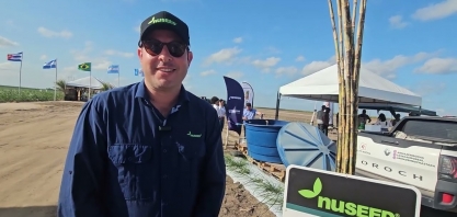 Nuseed cria proposta de valor e inovação para ambientes desafiadores de produção de cana-de-açúcar