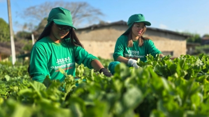 Cooperativa Pindorama sediará Feira Agro Bradesco 2024