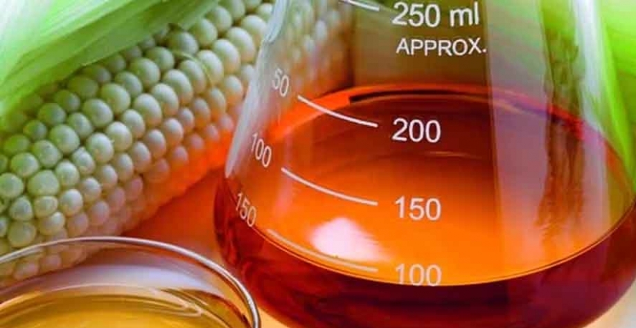 Com preços dos grãos em queda, produtores querem direcionar mais milho para etanol e miram mercado do combustível sustentável de aviação (SAF) — Foto: Globo Rural