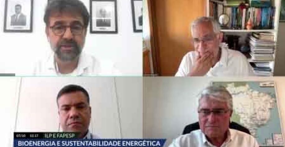 No alto, da esquerda para a direita: Cunha e Horta; acima: Pinheiro da Silva e Duarte (imagem: reprodução)