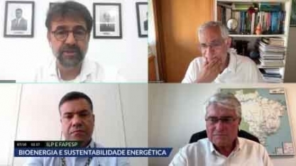 Cumprimento de metas climáticas passa por adoção de bioenergia e aumento da eficiência energética