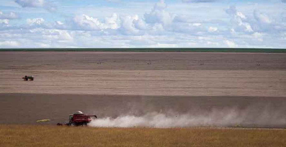 Empresas de diferentes segmentos do agro têm ampliado a busca por assessoria financeira, diz Douglas Bassi, da consultoria Virtus — Foto: Wenderson Araujo/CNA