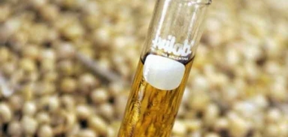 Grupo Potencial Investirá R$ 600 Milhões para Ter a Maior Fábrica de Biodiesel do Mundo