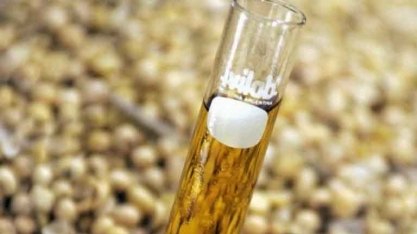 Grupo Potencial Investirá R$ 600 Milhões para Ter a Maior Fábrica de Biodiesel do Mundo
