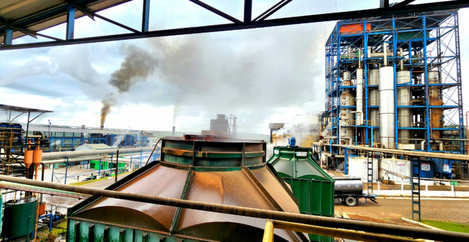 Até o dia 29 de setembro, a Usina Pindorama já havia moído 201.632 toneladas de cana - Foto: Assessoria