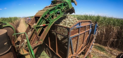 CNA: Valor Bruto da produção agropecuária deve recuar 2,2% neste ano, para R$ 1,26 trilhão