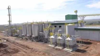 Produtor rural investe na maior usina de etanol de trigo do RS