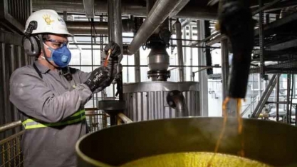 Margem bruta das usinas de etanol de milho recua 14,99% em Mato Grosso na primeira quinzena de outubro