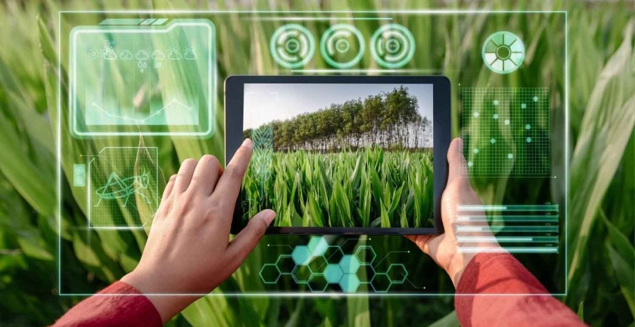 Inteligência Artificial nas fazendas está mudando a gestão do negócio. KDP_GettyImages