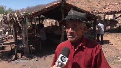 Produtores do Sul do Piauí mantém viva a tradição da moagem artesanal da cana de açúcar