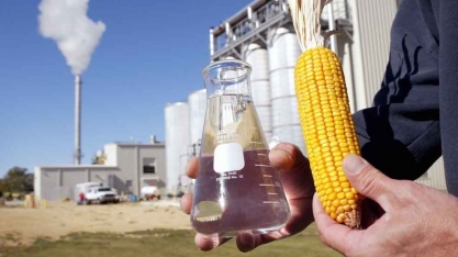 EUA: produção de etanol avançou para 1,042 mi de bpd na semana encerrada em 11 de outubro