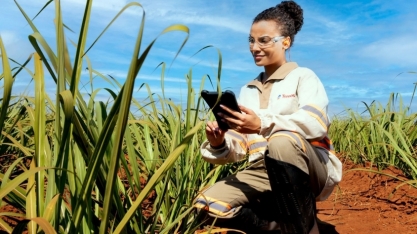 Tereos tem vagas abertas para programa de estágio de verão
