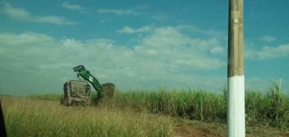 Preços do etanol registram alta e volume produzido é o 3º maior da safra em outubro, aponta USP