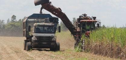 Canaplan projeta uma moagem de 611,04 milhões de toneladas para a safra 2024/25